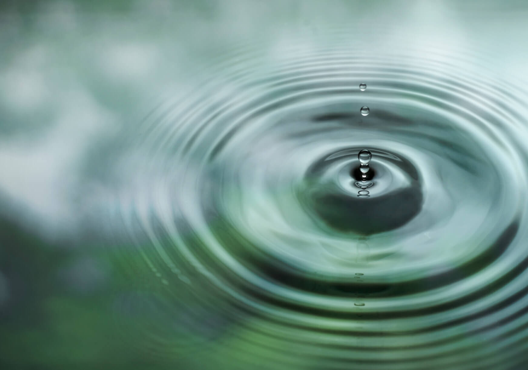 Water is dripping on the surface of the water in the rainforest. With the reflection of the green leaves impact award