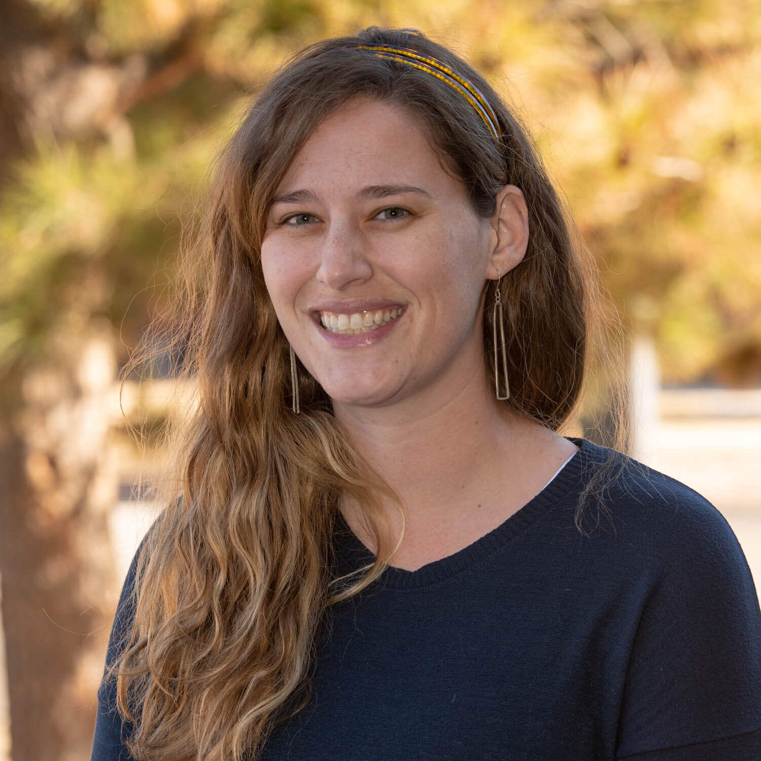 PROJECT Carrie Diroll